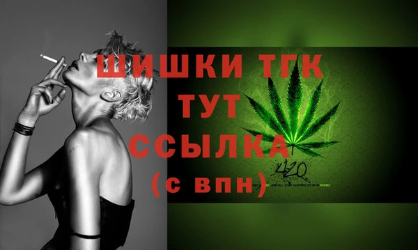 меф Арсеньев