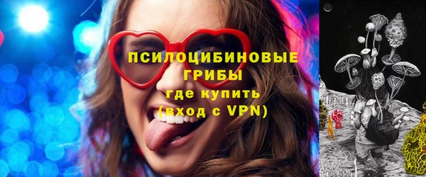 меф Арсеньев